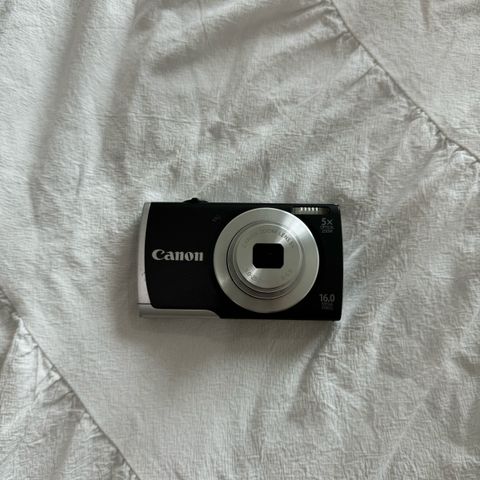 IMG_0641-1722927242452