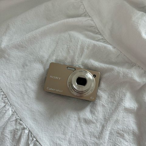 IMG_0956-1723021778761