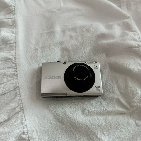 IMG_1435-1723359015384