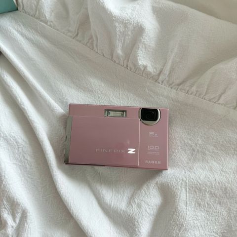 IMG_2618-1723794499059