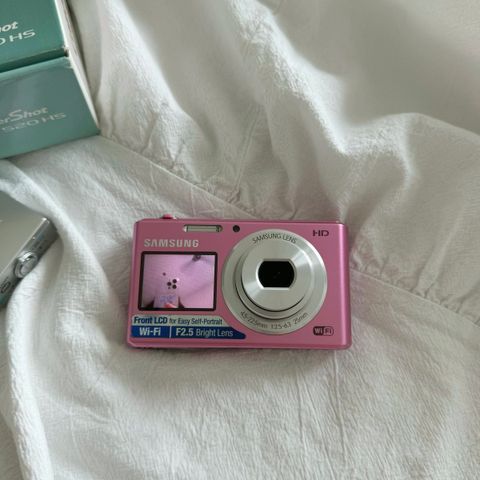 IMG_2621-1723794665951