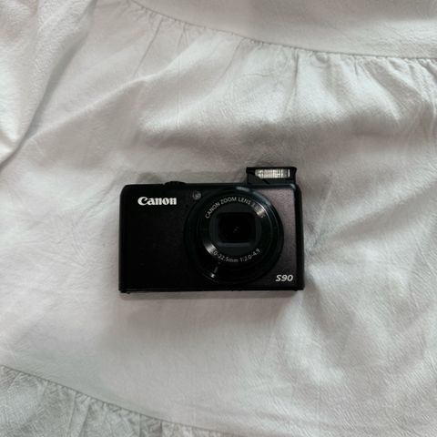 IMG_2975-1724066017187