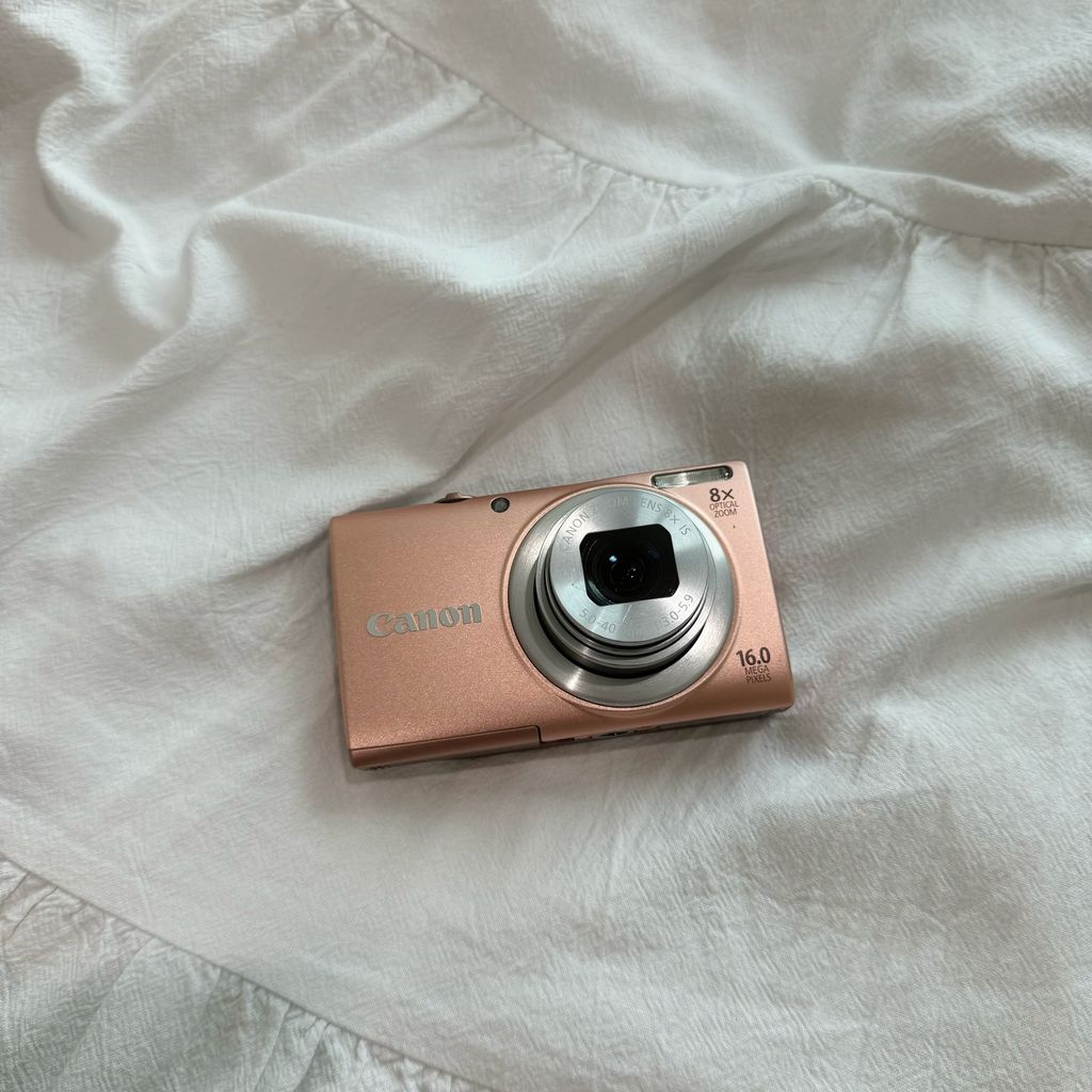 IMG_2987-1724066342073