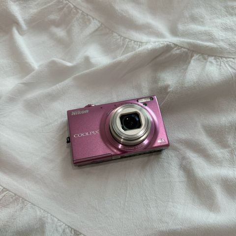 IMG_2990-1724066462752