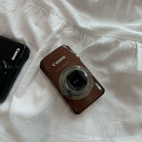 IMG_2984-1724066761947