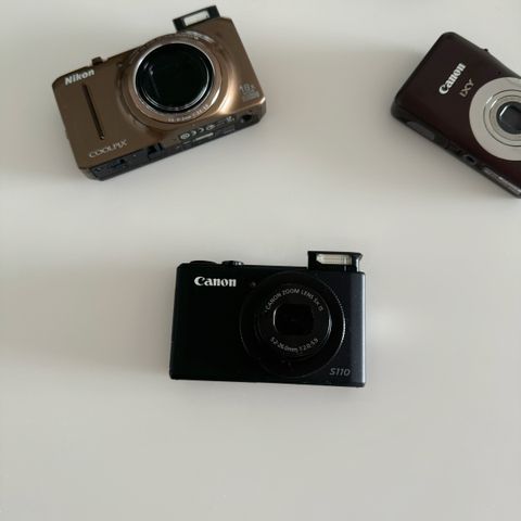 IMG_4532-1725083911814