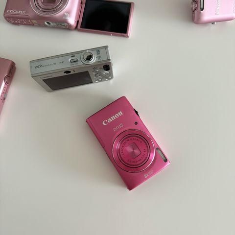 IMG_5101-1725266311578