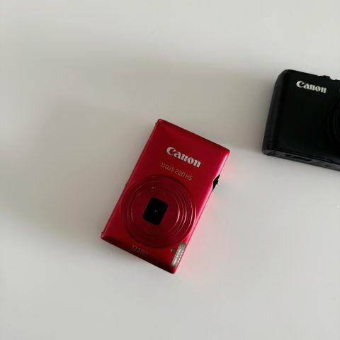 IMG_5422-1725416985633