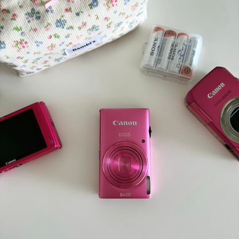 IMG_7258-1726215372573