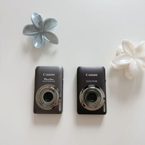 IMG_8447-1727507598352