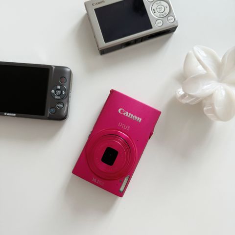 IMG_8457-1727508434460