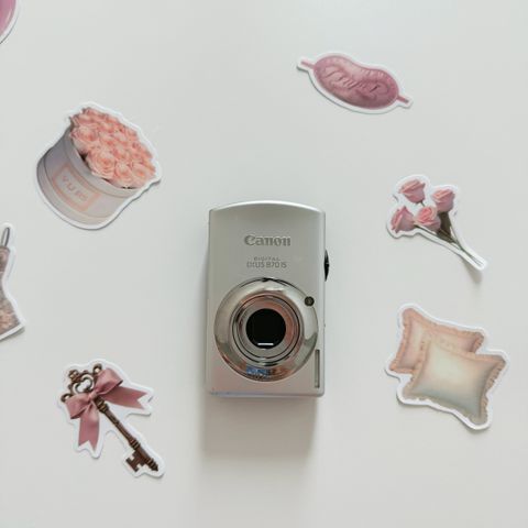 IMG_2204-1732157956229