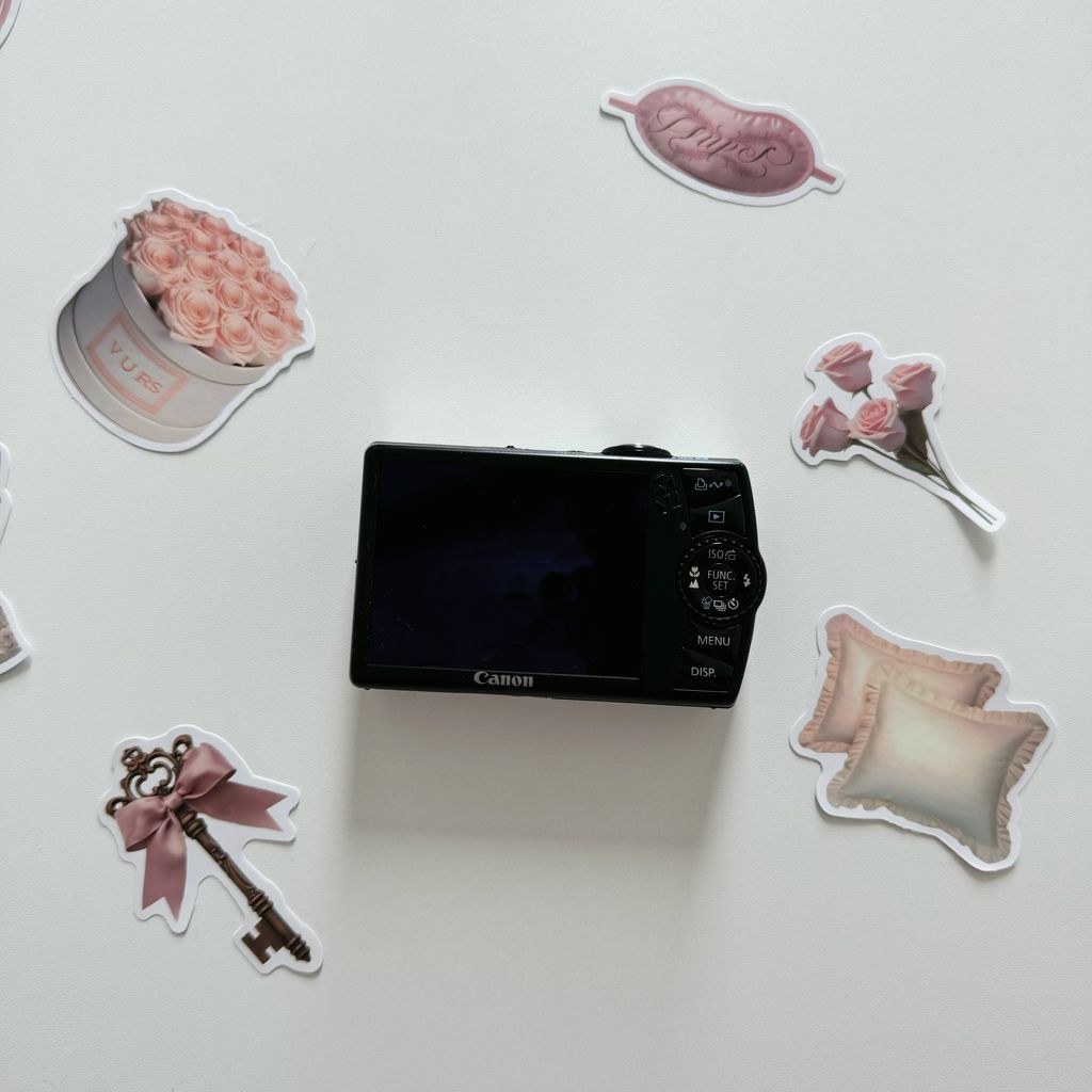 IMG_2206-1732157956490