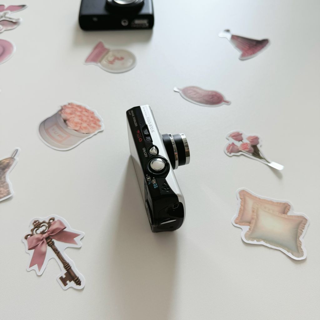 IMG_2208-1732157956764