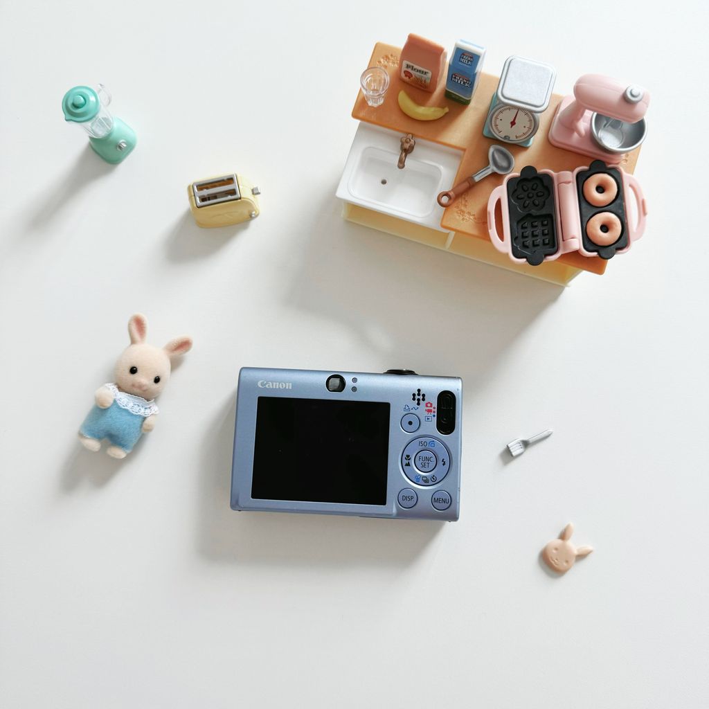 IMG_2464-1732351472503