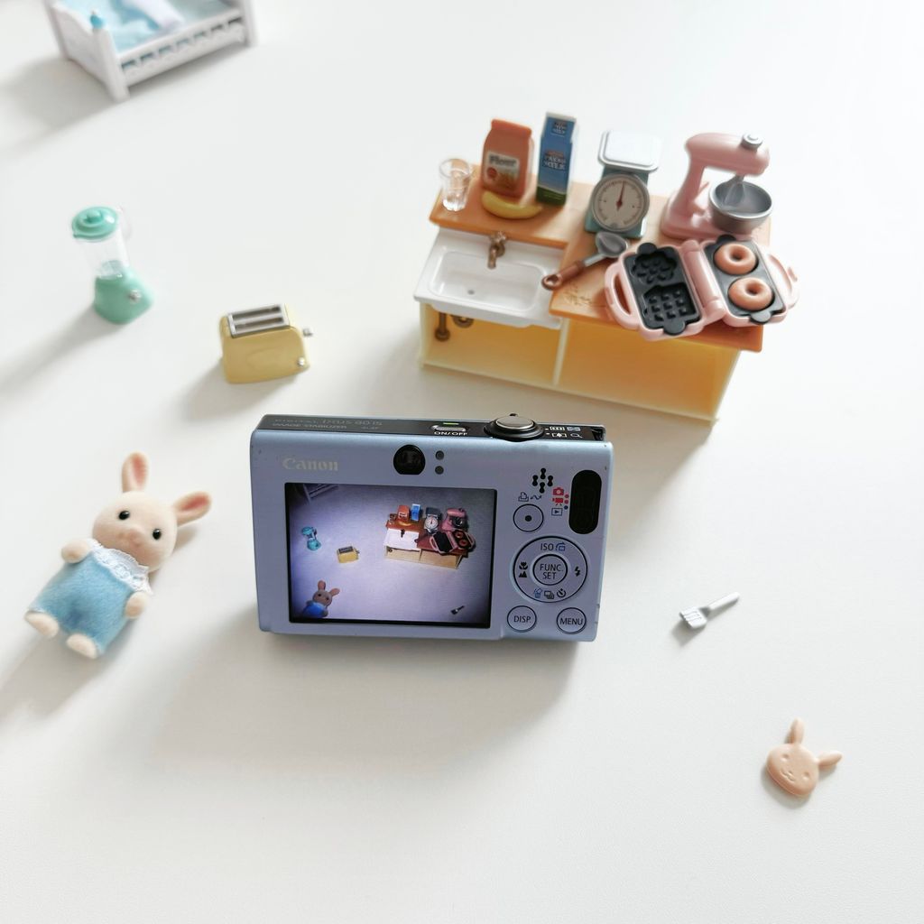 IMG_2465-1732351472909