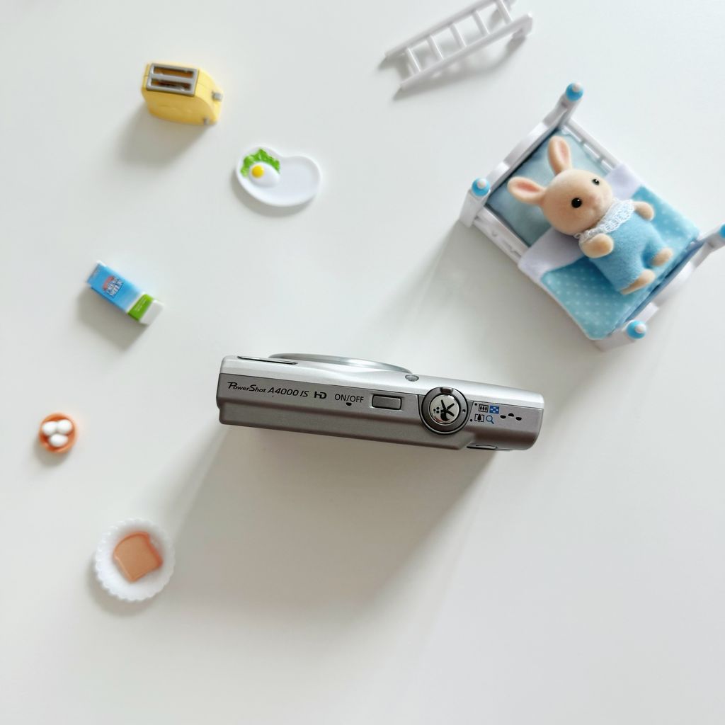 IMG_2467-1732351503659