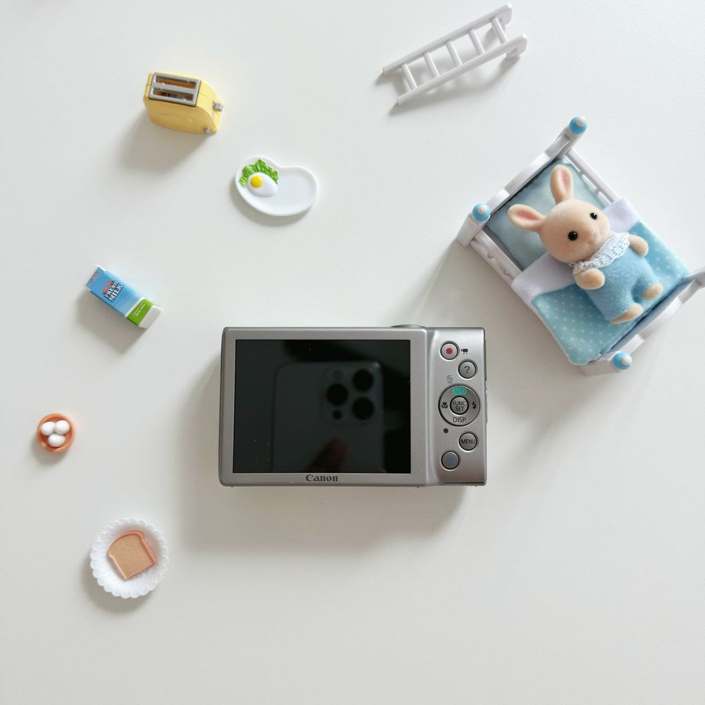 IMG_2468-1732351503790