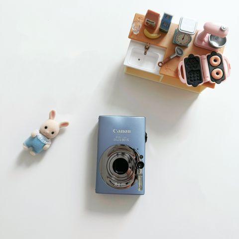 IMG_2479-1732351994349