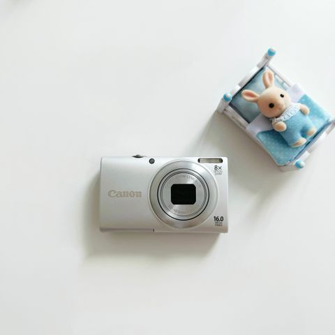 IMG_2483-1732352498955