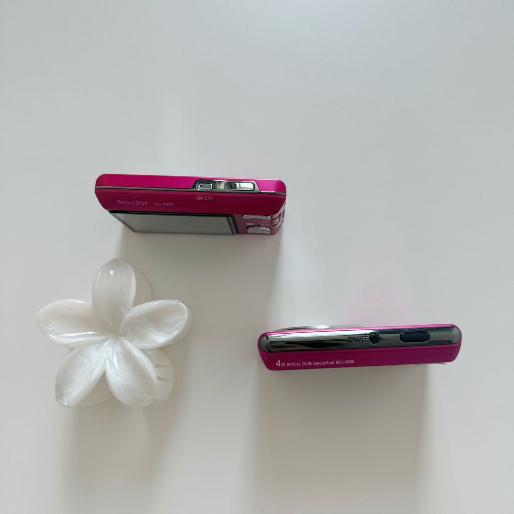 IMG_3726-1733384279219