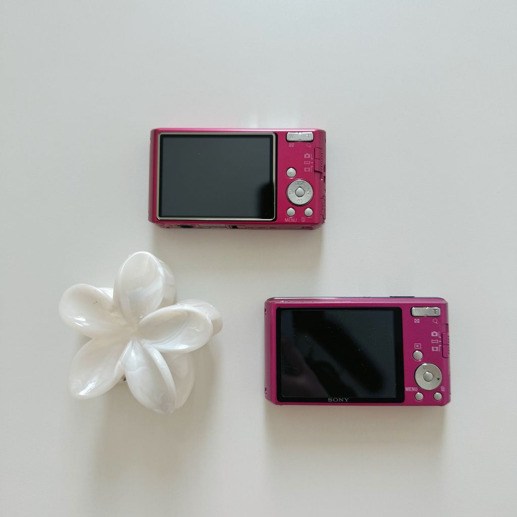 IMG_3727-1733384279355