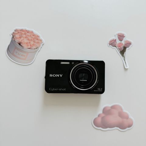 IMG_3847-1733471372041