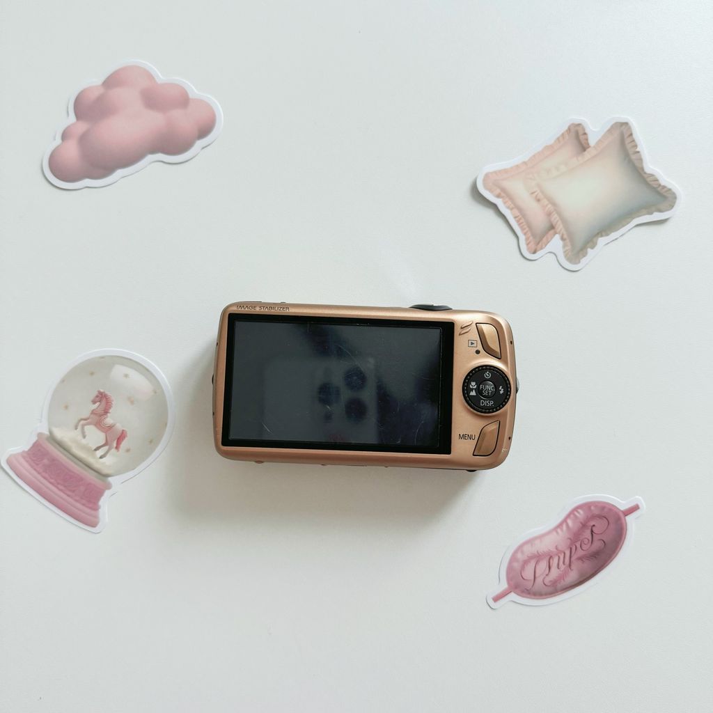 IMG_4582-1733998845465