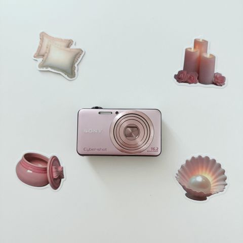 IMG_7464-1736053883940