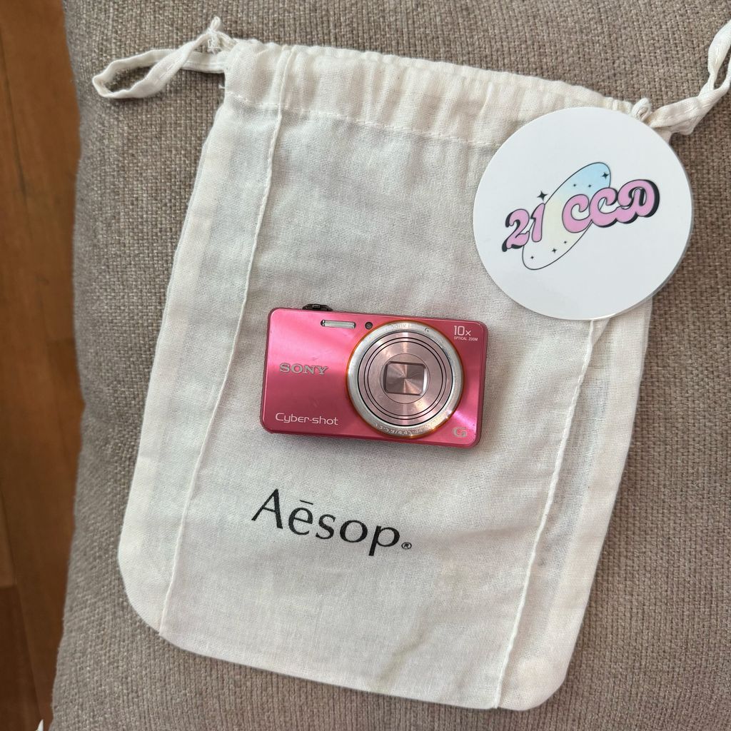 image_93FA9B6C-D29B-4B99-83B6-B2A0AEB284EA_1766486269