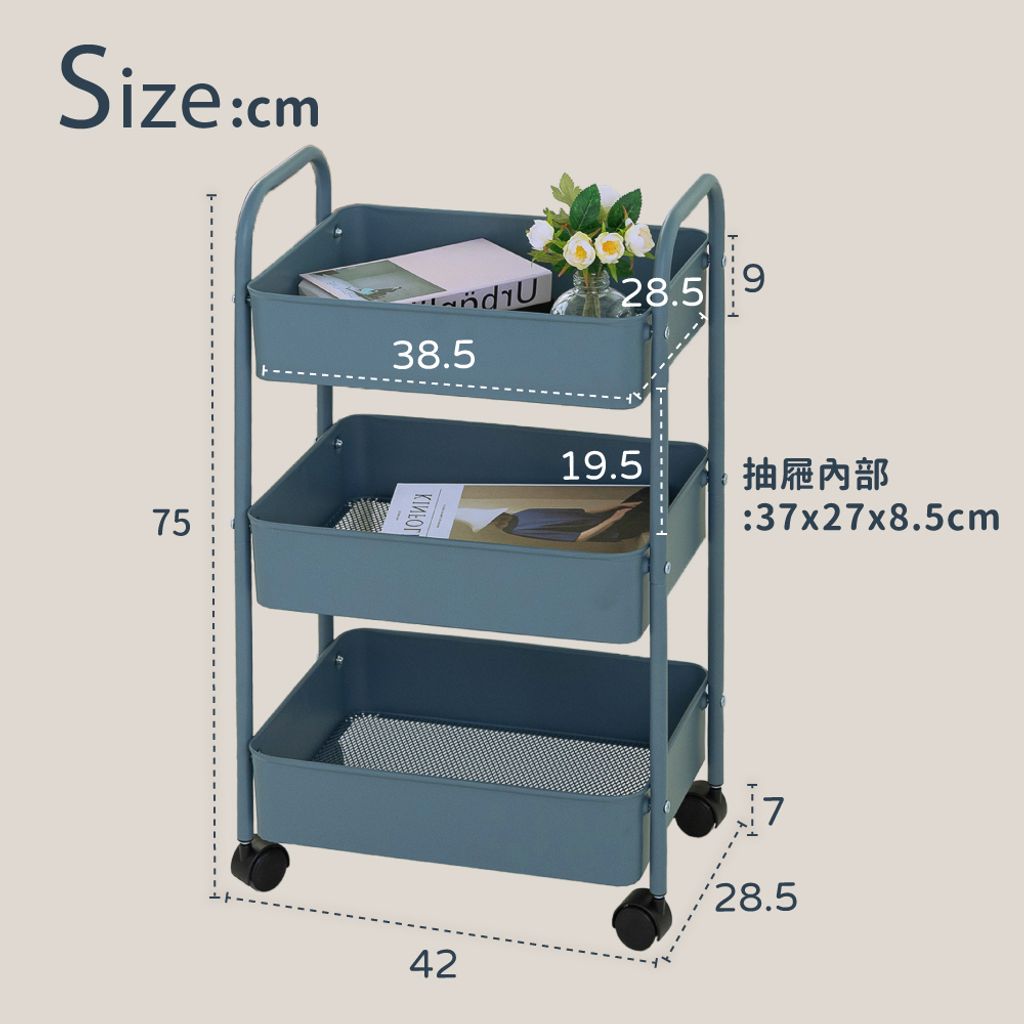 朵拉-10
