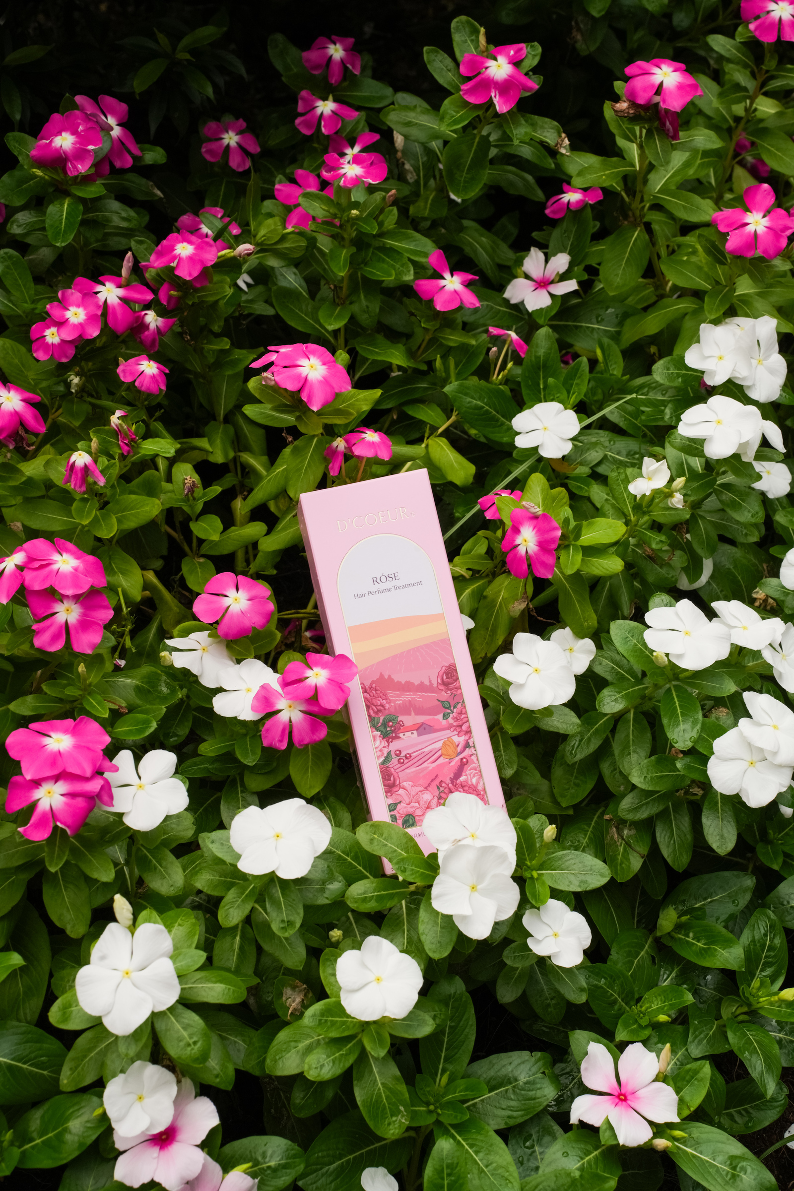 image_FB612D60-F196-43A4-944B-DCF61A6F5B7D_1751431924