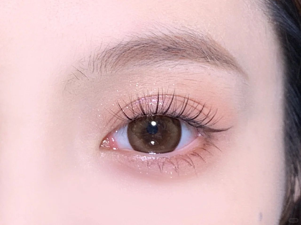 WhatsApp Image 2024-11-27 at 21.26.15