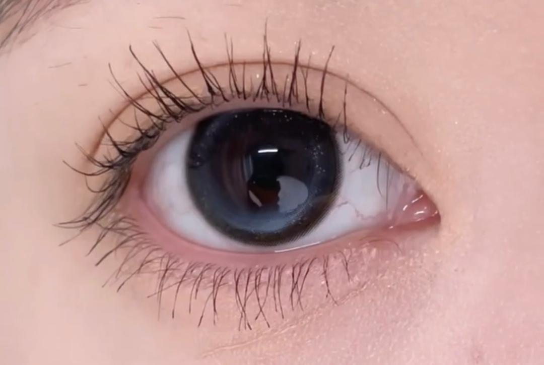 WhatsApp Image 2026-01-14 at 1.11.29 PM