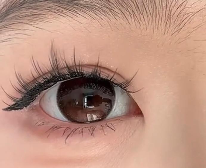 WhatsApp Image 2026-01-14 at 1.21.33 PM (1)