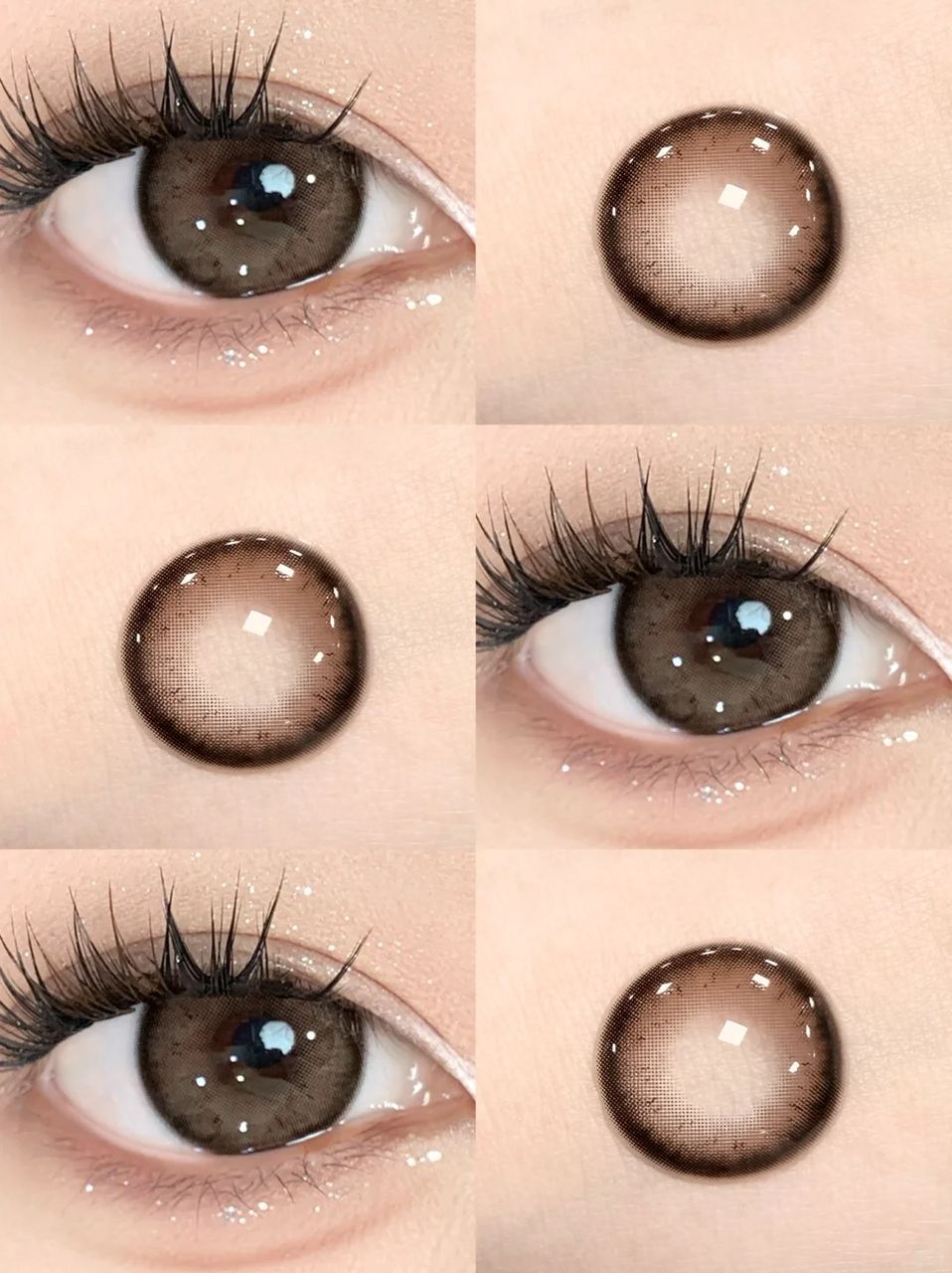 WhatsApp Image 2026-01-16 at 12.45.17 PM (2)