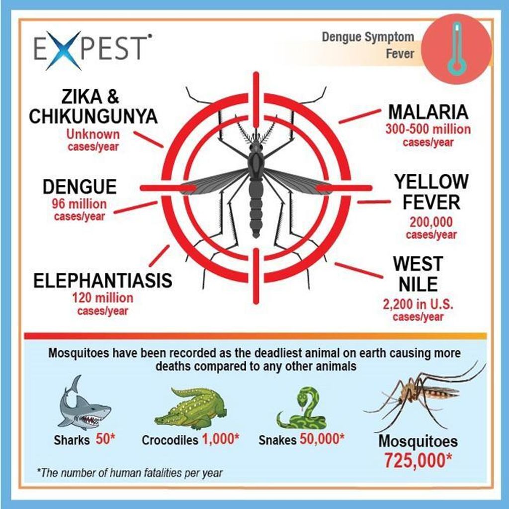 961d02297f824f789f415e1409041d8a~tplv-aphluv4xwc-origin-jpeg