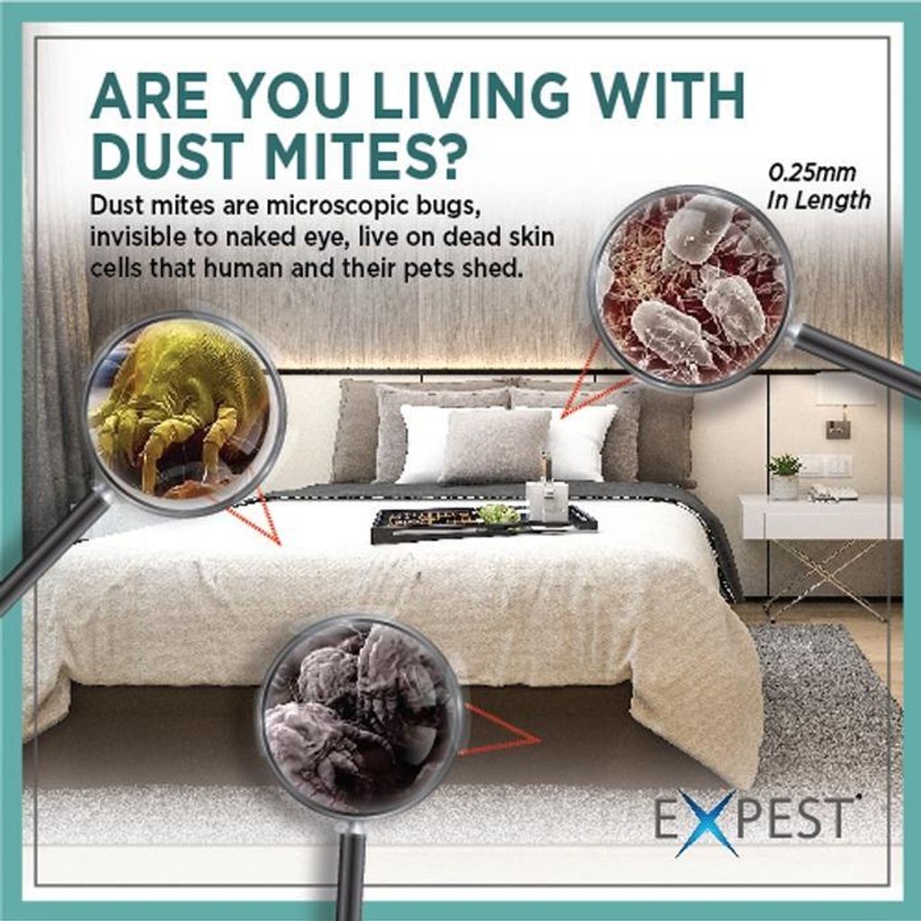 9bb68b9177f54a899d128e5654f1396d~tplv-aphluv4xwc-origin-jpeg