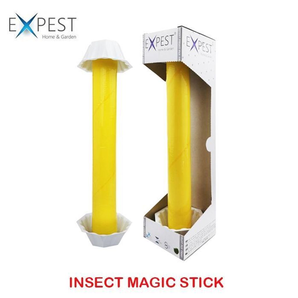 b21906621d6147819210f97709aa70a2~tplv-aphluv4xwc-origin-jpeg