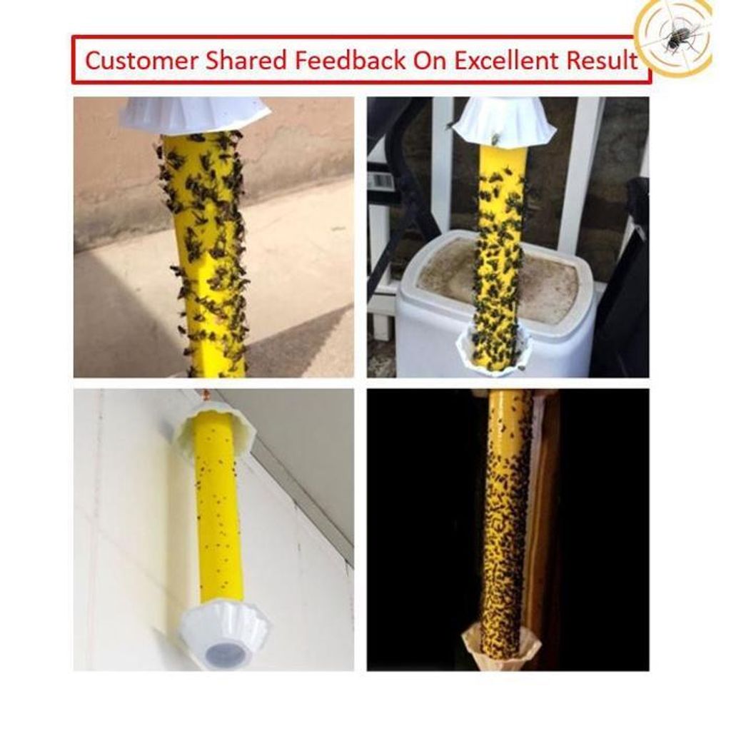 f013fc5b38ad405dae878c831bdb493a~tplv-aphluv4xwc-origin-jpeg