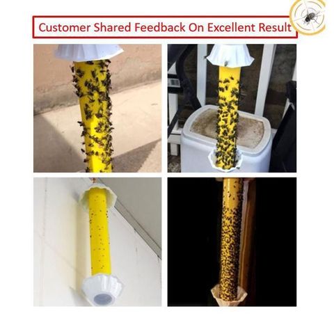 f013fc5b38ad405dae878c831bdb493a~tplv-aphluv4xwc-origin-jpeg