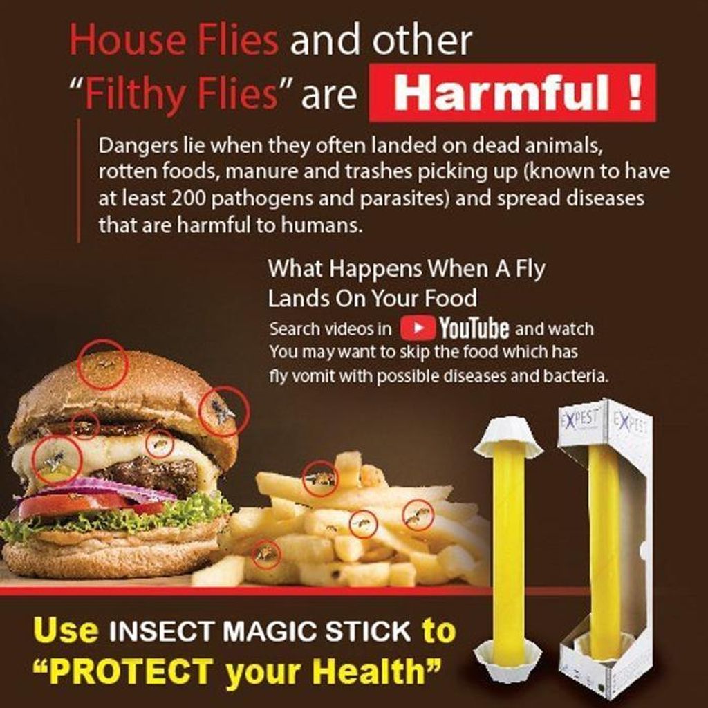 e093370a526d4e0396a9e6fa8541ed3d~tplv-aphluv4xwc-origin-jpeg