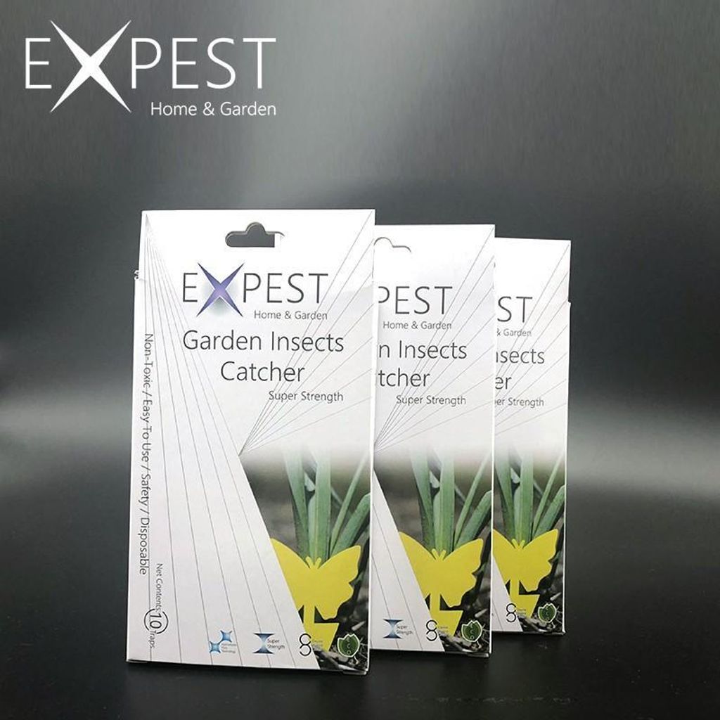 a5095facc741429883da42920f182d1e~tplv-aphluv4xwc-origin-jpeg