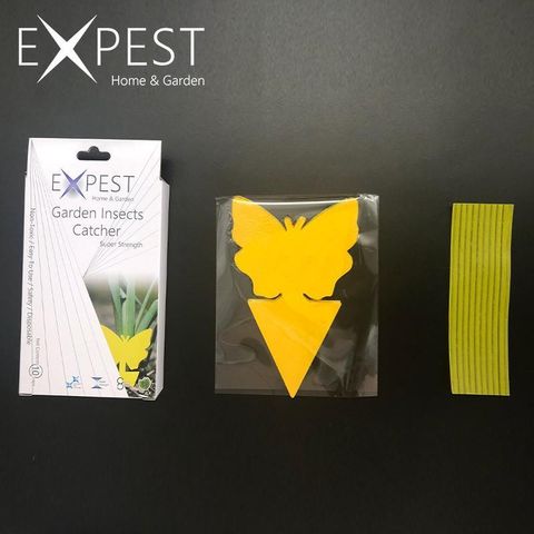 cbb7ce0e714b47a2a6c94ffd97713131~tplv-aphluv4xwc-origin-jpeg