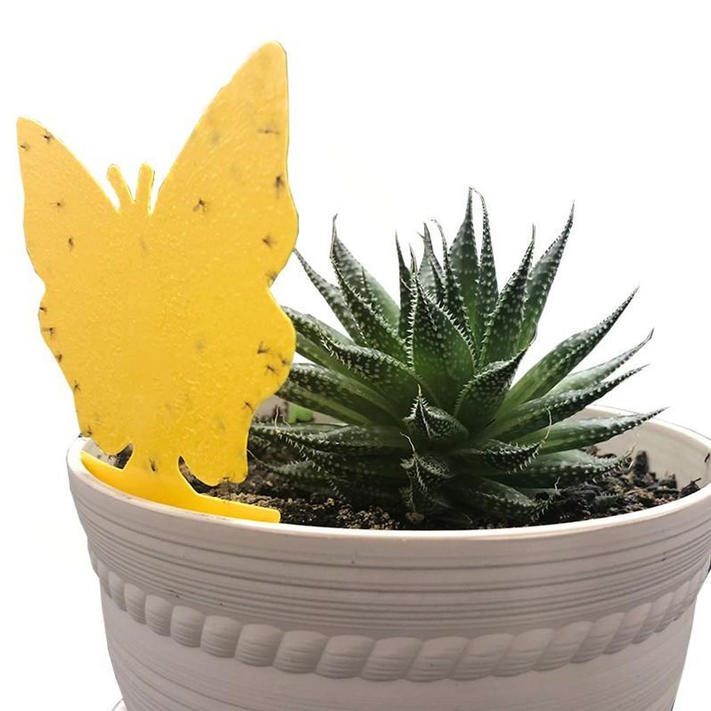 1911322d882a412eb62659b884915004~tplv-aphluv4xwc-origin-jpeg