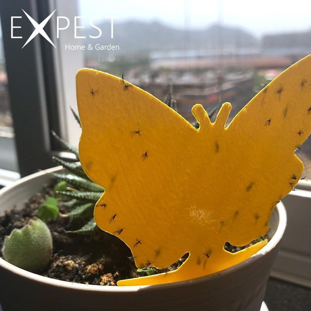 1ed28dabed9c46ee84c7ebb1b5d87070~tplv-aphluv4xwc-origin-jpeg