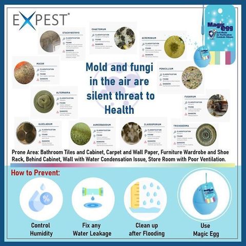 cc96cea3beda440680049b41063e8636~tplv-aphluv4xwc-origin-jpeg