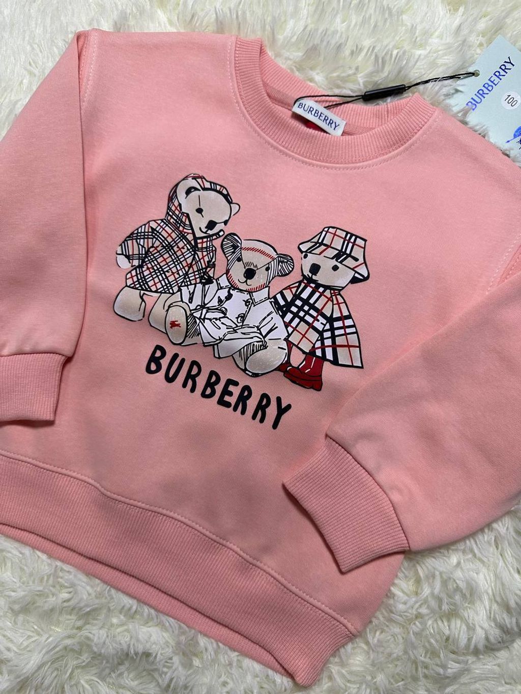 photo_14_2026-02-12_01-38-09