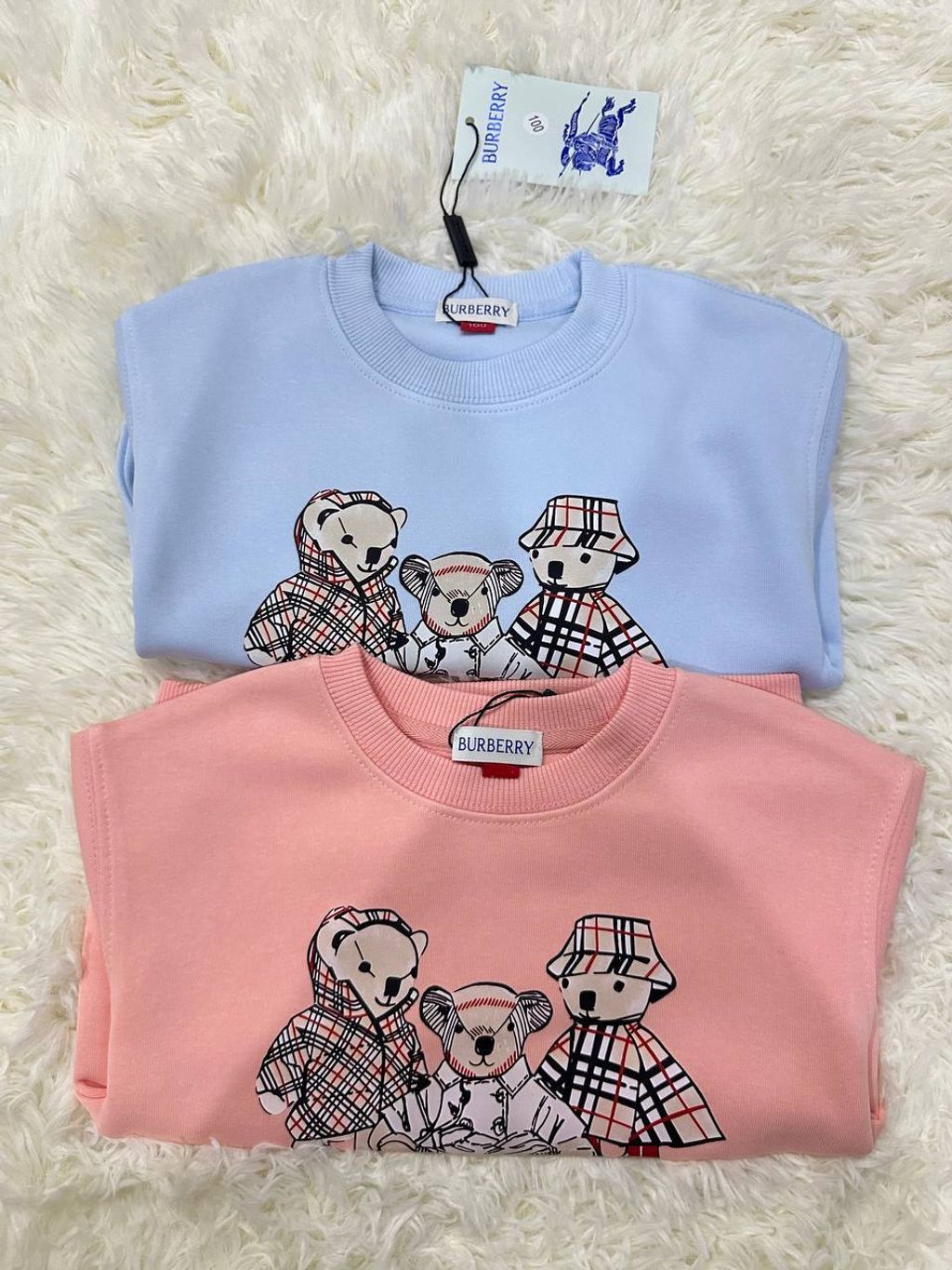 photo_13_2026-02-12_01-38-09