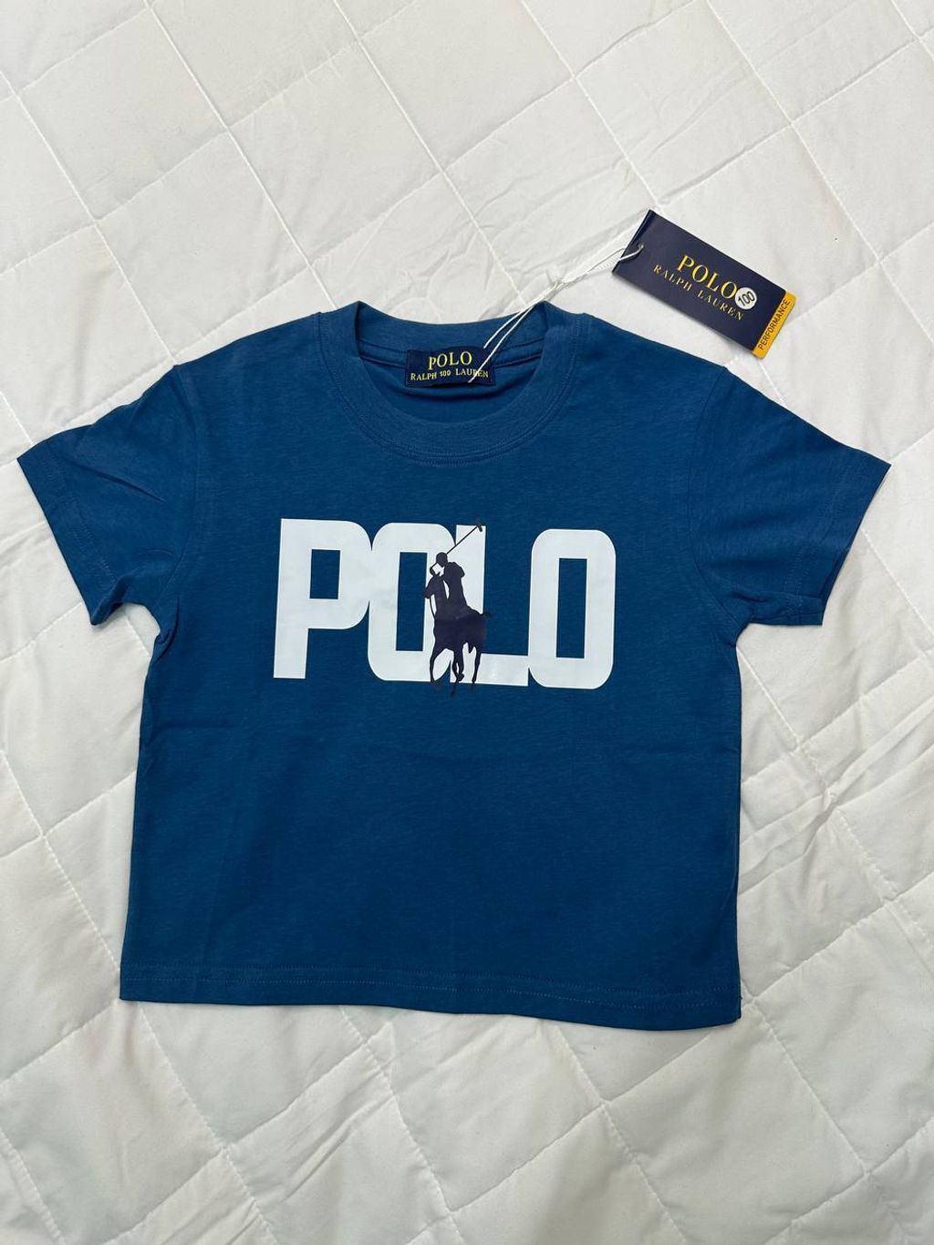 photo_5_2026-02-12_01-38-09